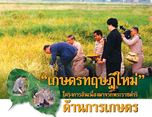 Slide 7