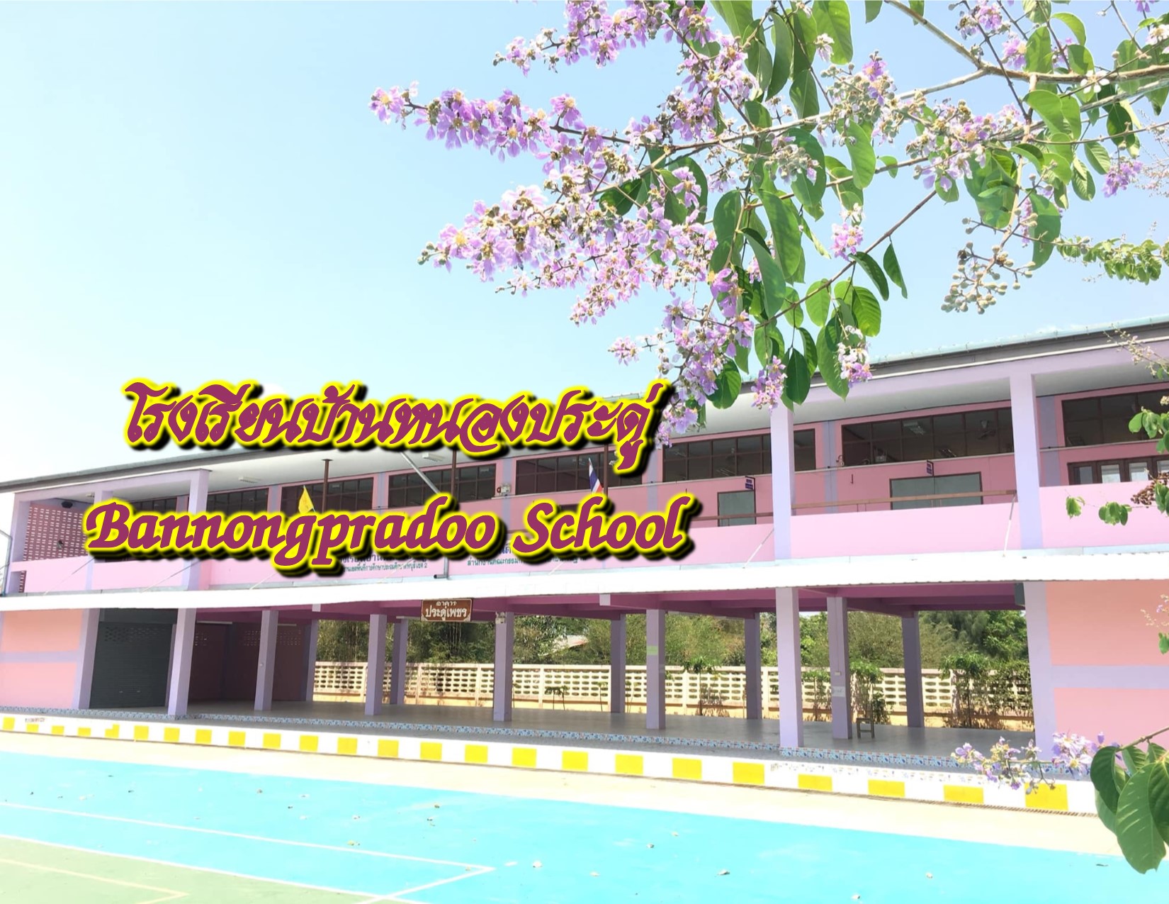Slide 5