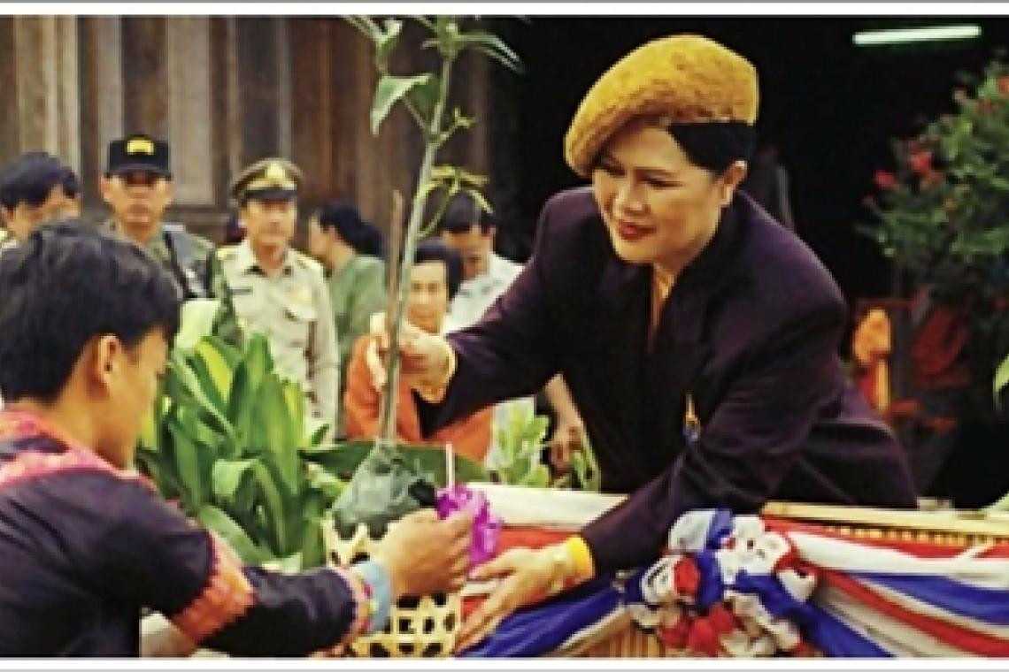Slide 5