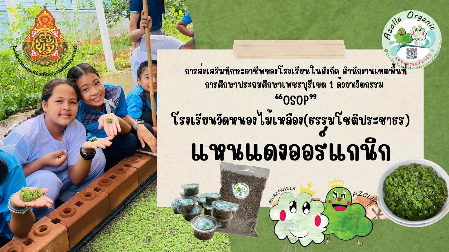 Slide 1